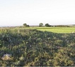 campo_federacion_caza.jpg